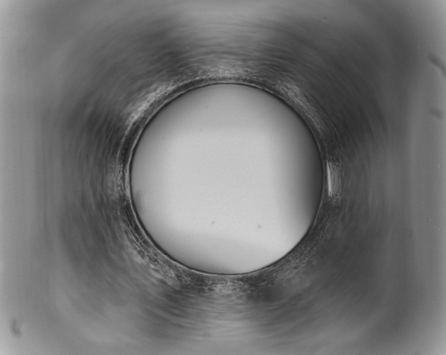 X0000100840579200806201153