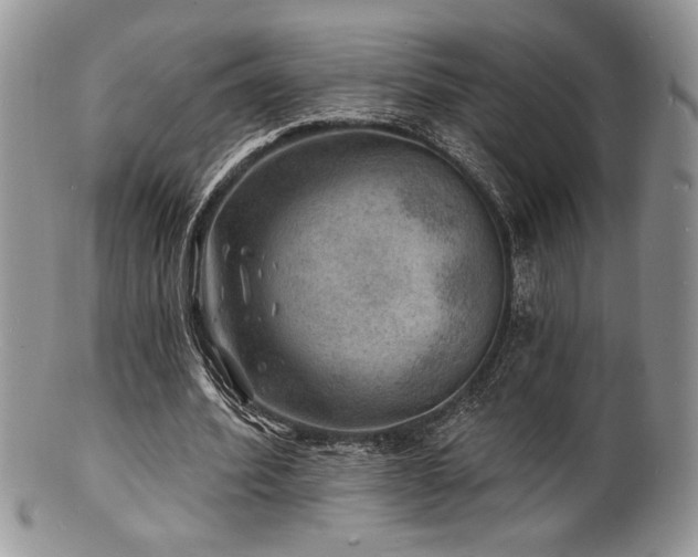 X0000100840580200806201153