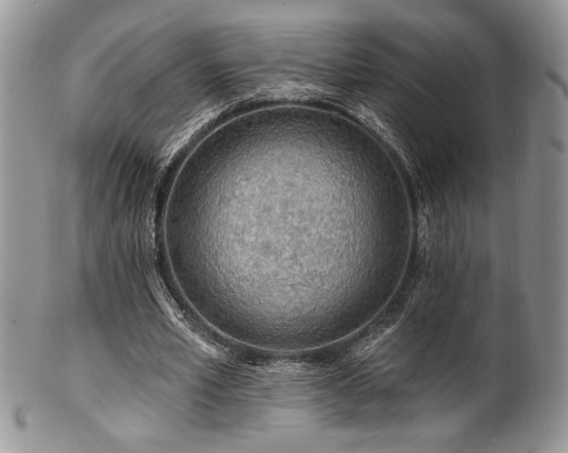 X0000100840581200806201153