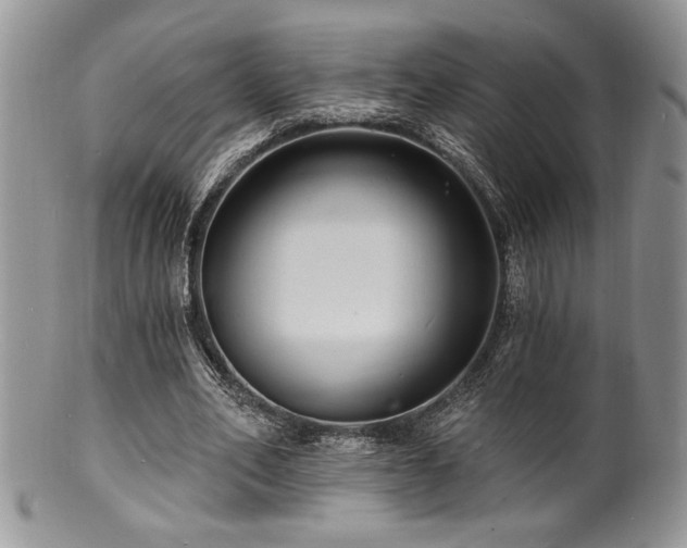 X0000100840582200806201153