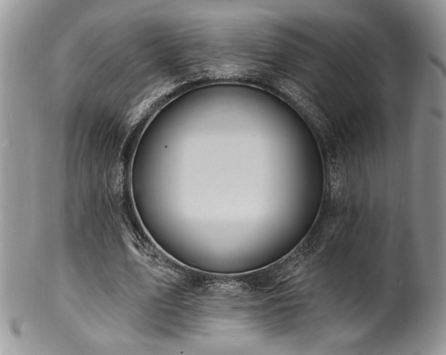 X0000100840583200806201153