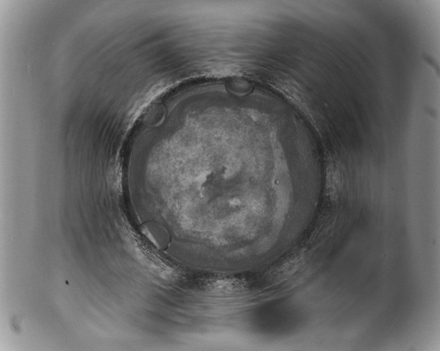 X0000100840584200806201153