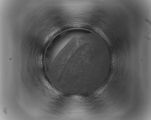 X0000100840585200806201153