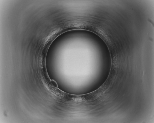 X0000100840587200806201153