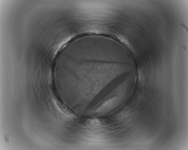 X0000100840588200806201153