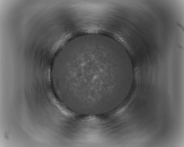 X0000100840589200806201153