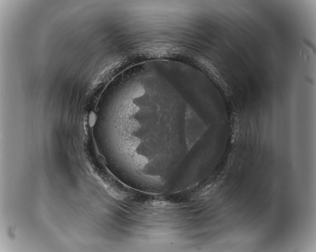 X0000100840590200806201153