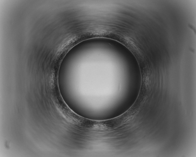 X0000100840591200806201153