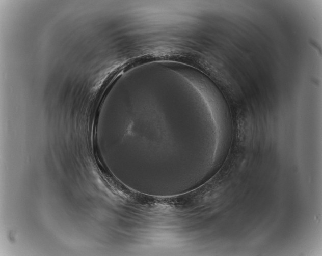 X0000100840592200806201153