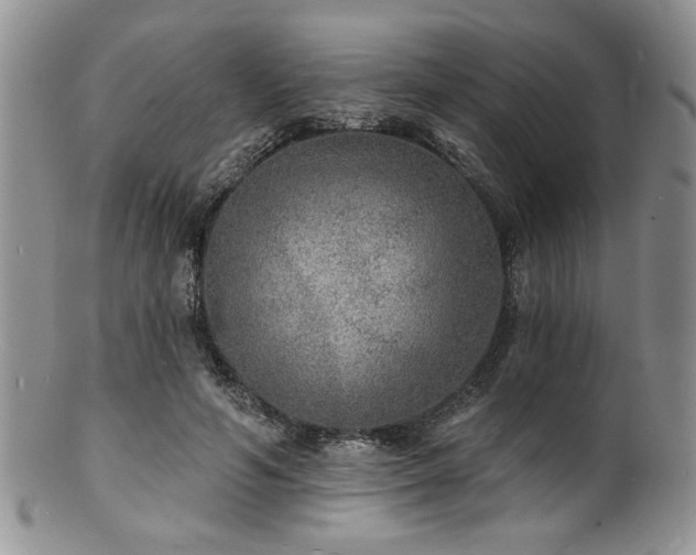 X0000100840594200806201152