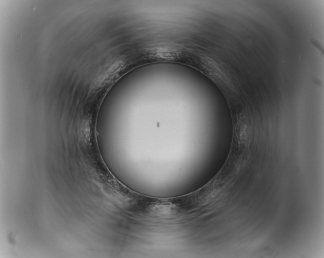 X0000100840595200806201152