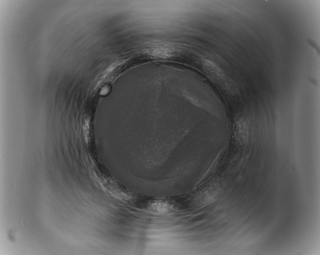 X0000100840596200806201152