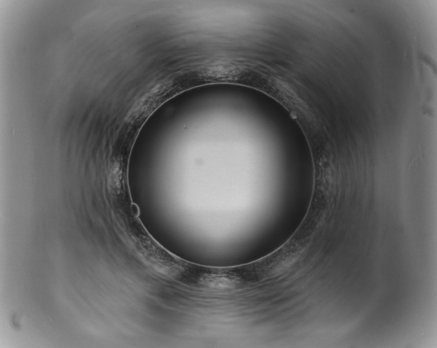 X0000100840597200806201152