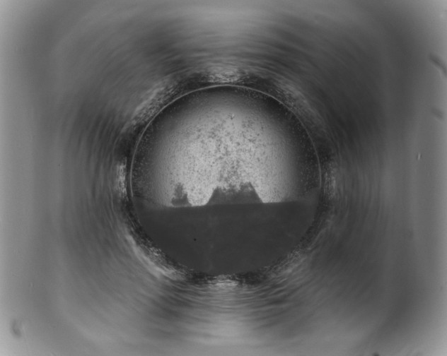 X0000100840598200806201152