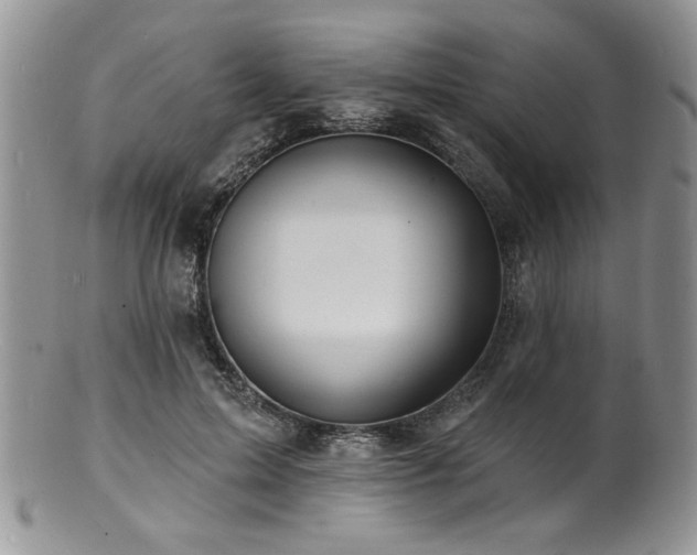 X0000100840599200806201152