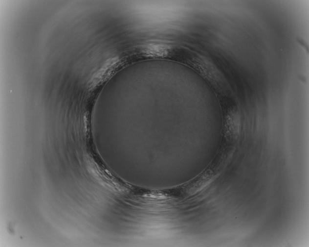 X0000100840600200806201152