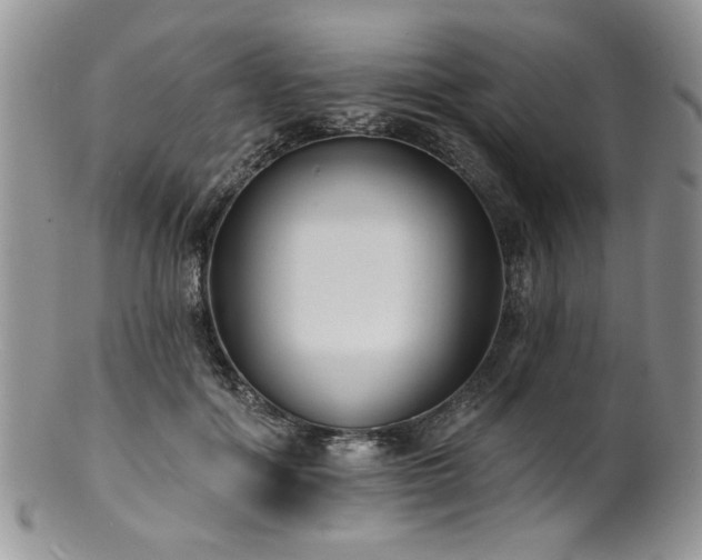 X0000100840602200806201152