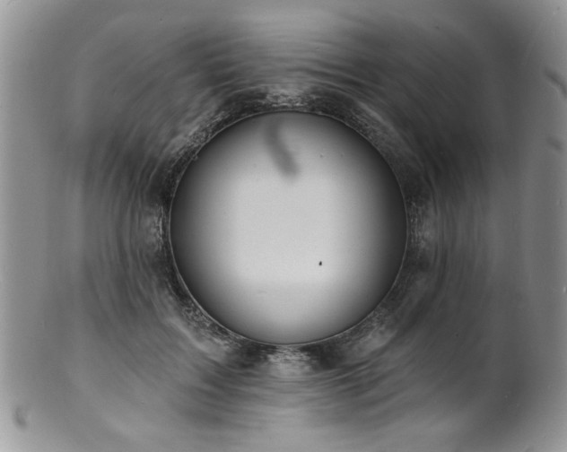 X0000100840603200806201152