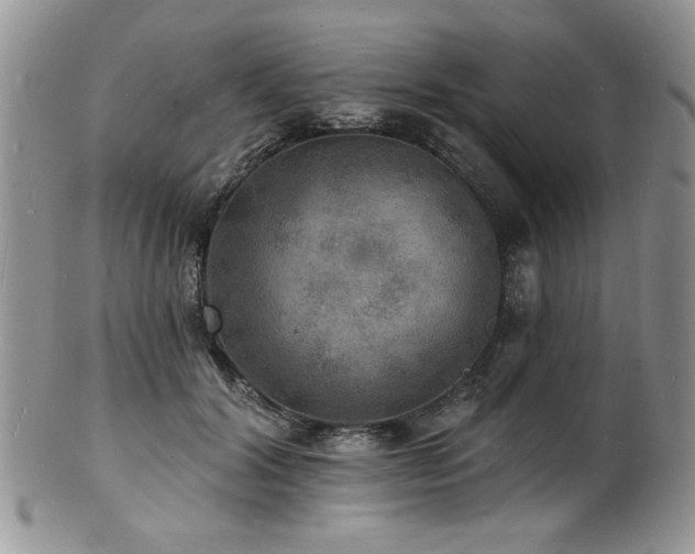 X0000100840604200806201152