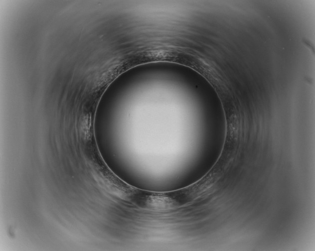 X0000100840605200806201152