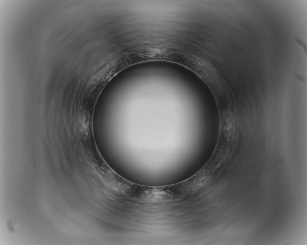 X0000100840607200806201152