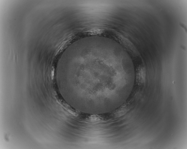 X0000100840608200806201152