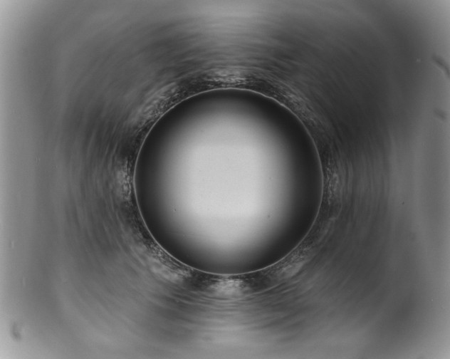 X0000100840609200806201152