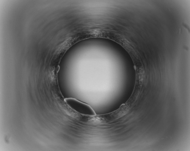 X0000100840611200806201152