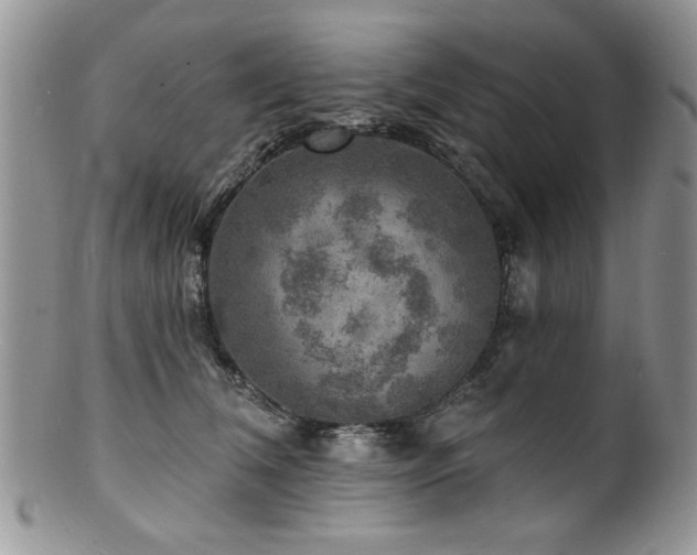 X0000100840612200806201152