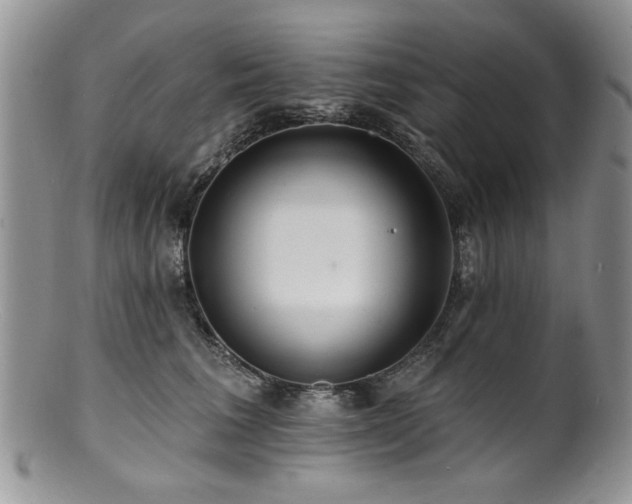 X0000100840613200806201152