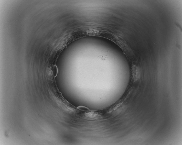 X0000100840614200806201152