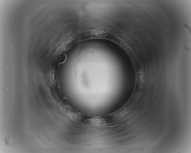 X0000100840615200806201152