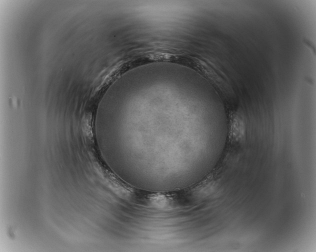 X0000100840616200806201152