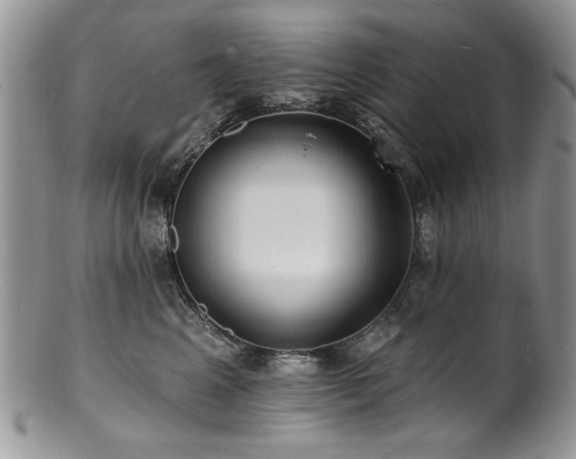 X0000100840617200806201152