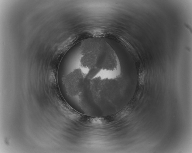 X0000100840618200806201152