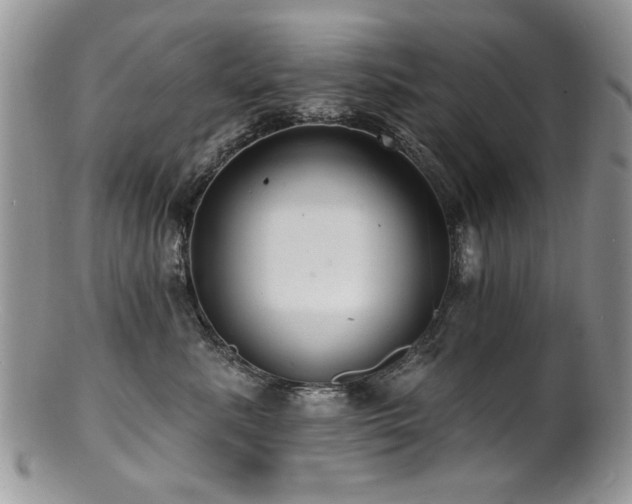 X0000100840619200806201152