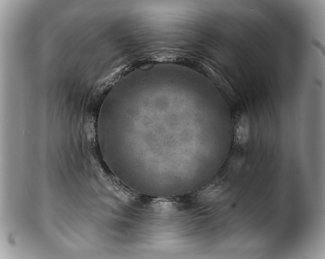 X0000100840620200806201152