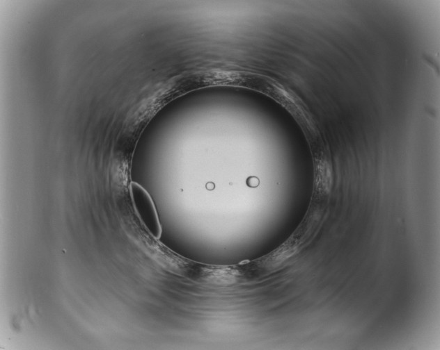 X0000100840621200806201152