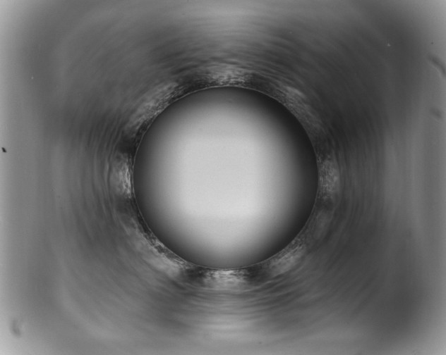 X0000100840622200806201152