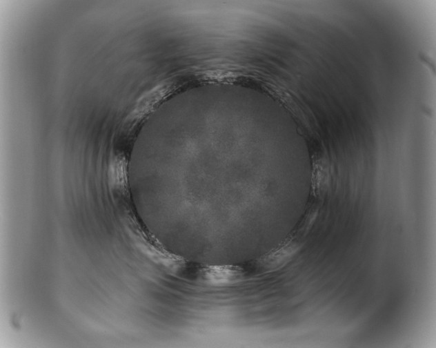 X0000100840623200806201152