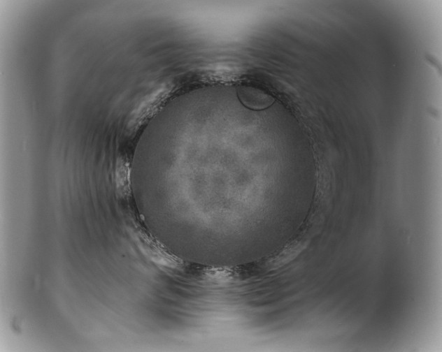 X0000100840624200806201152