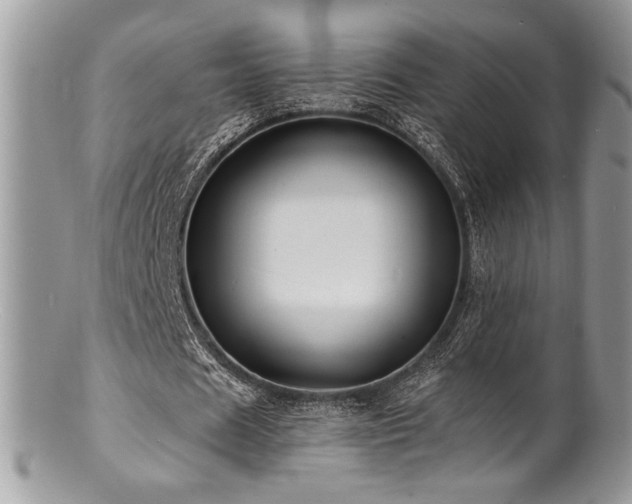 X0000100840625200806201151