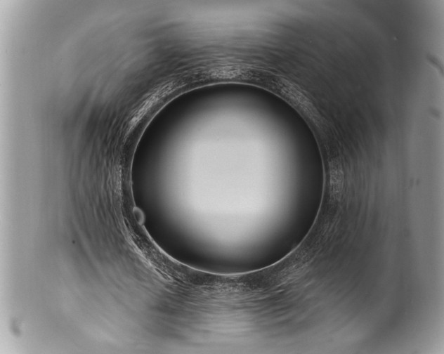 X0000100840626200806201151