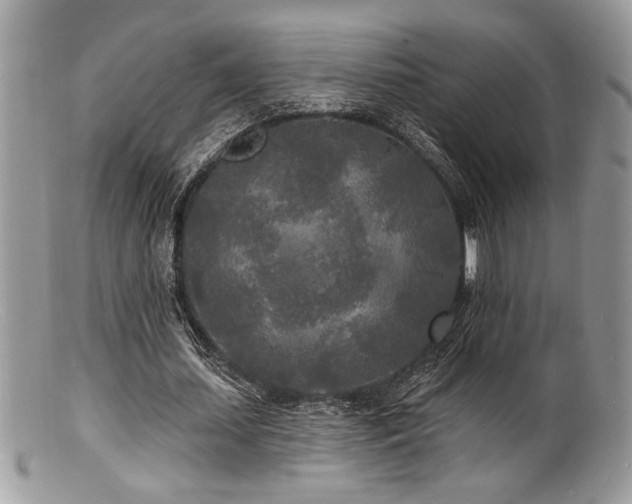 X0000100840627200806201151