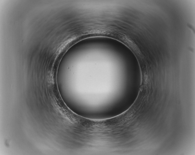 X0000100840628200806201151