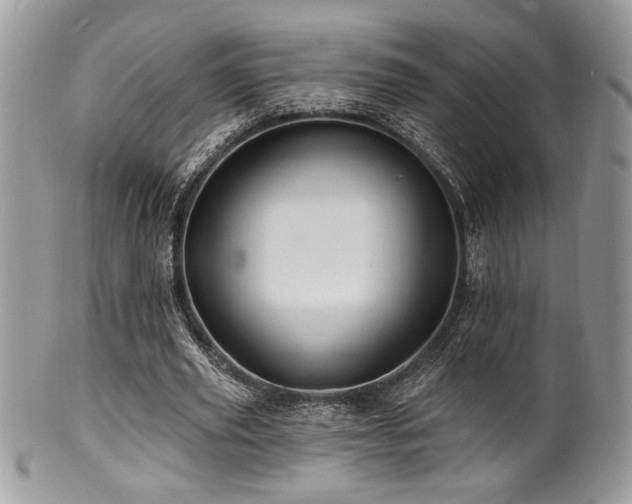 X0000100840629200806201151