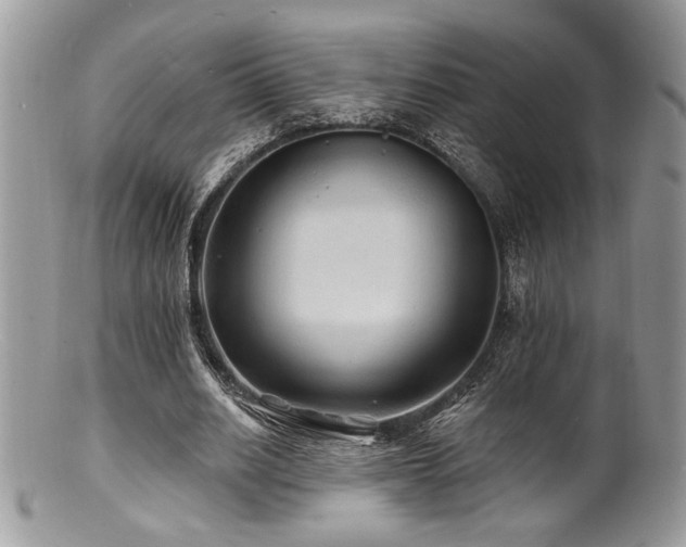 X0000100840630200806201151