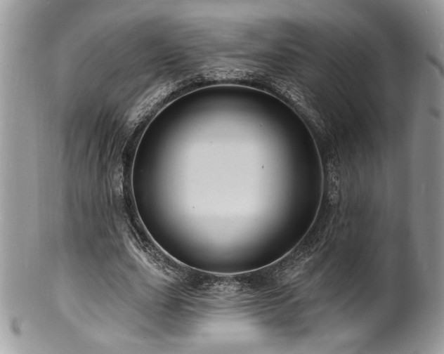 X0000100840631200806201151