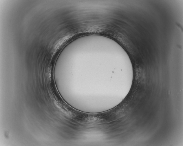 X0000100840632200806201151