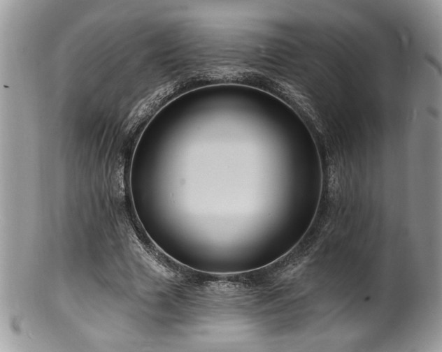 X0000100840633200806201151